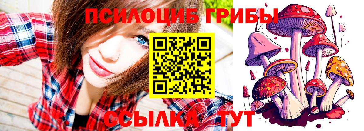 Галлюциногенные грибы ЛСД Губкинский