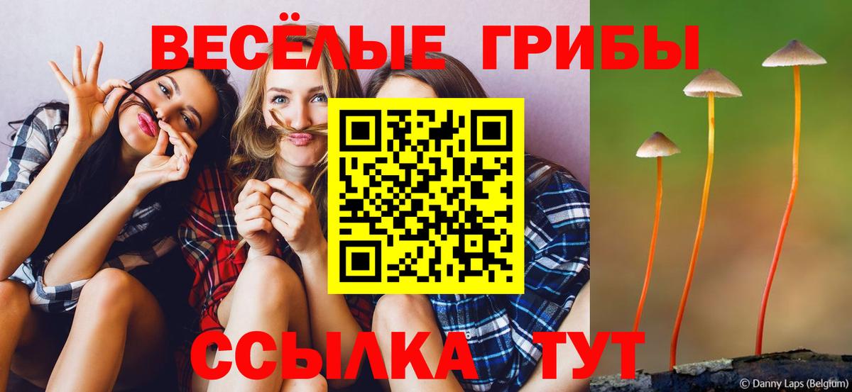 Галлюциногенные грибы Cubensis  Губкинский 