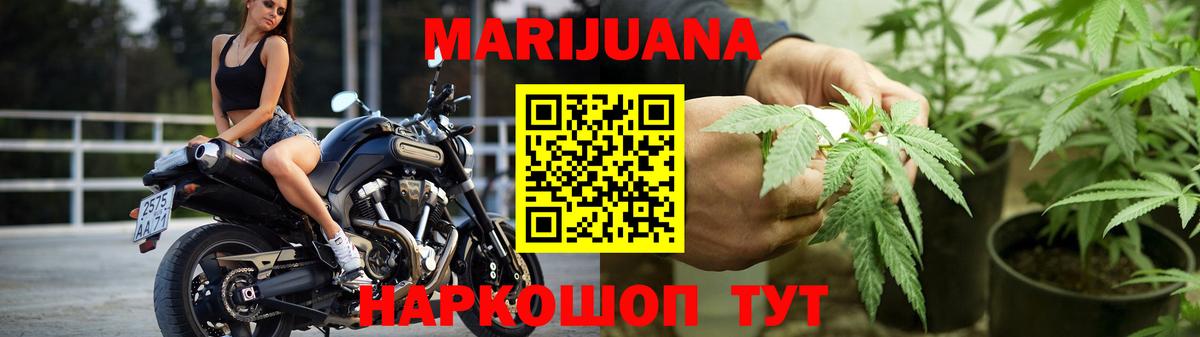 Марихуана LSD WEED  Губкинский  Канабис гибрид  Бошки марихуана сатива 